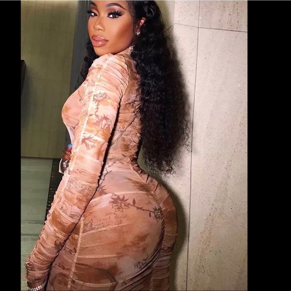 Ruched long sleeve mesh dress